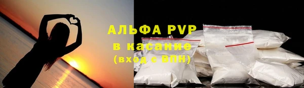 СК Аркадак