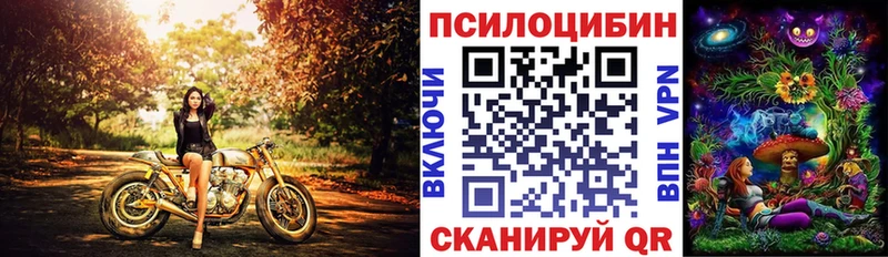 Галлюциногенные грибы Psilocybe  где купить наркотик  Поронайск 